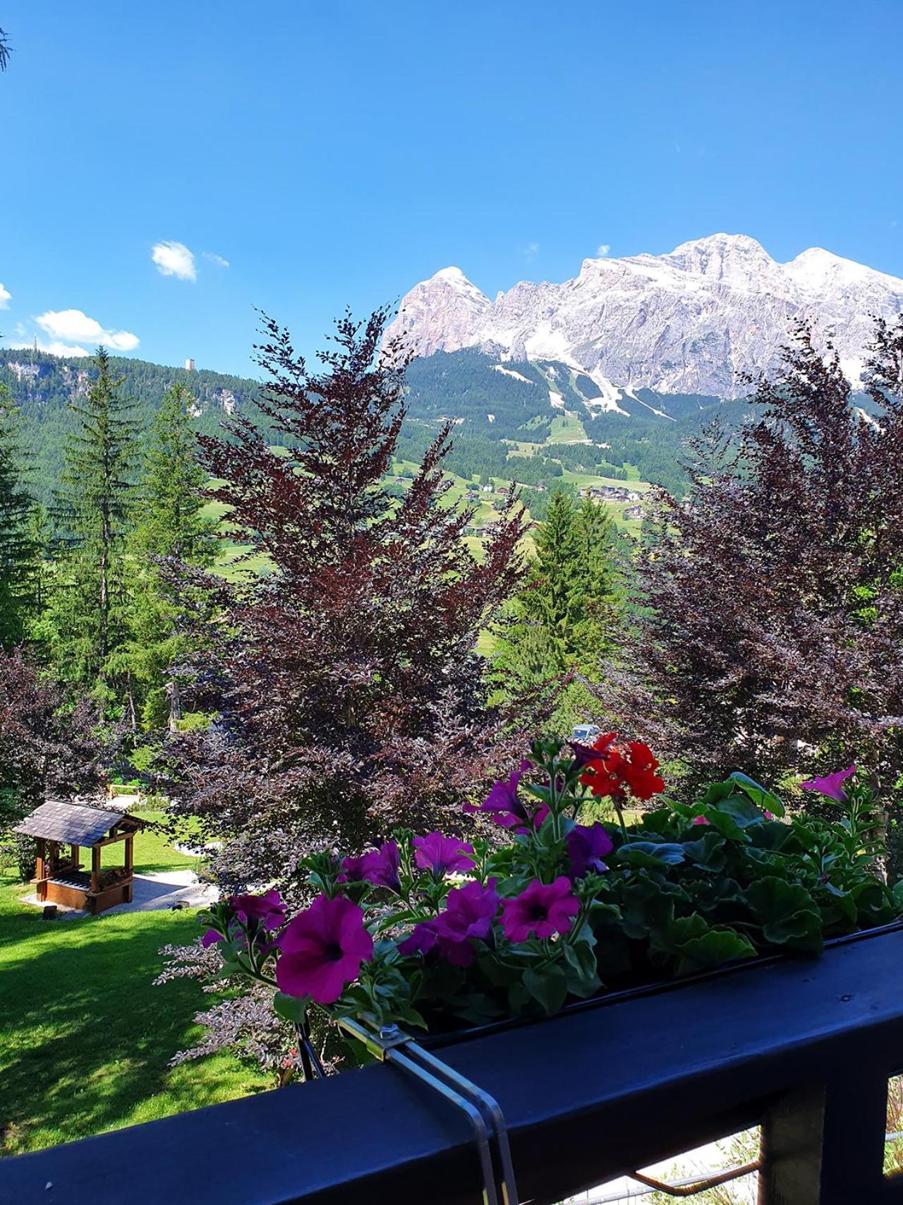 B&B Cristallo Cortina dʼAmpezzo Eksteriør bilde