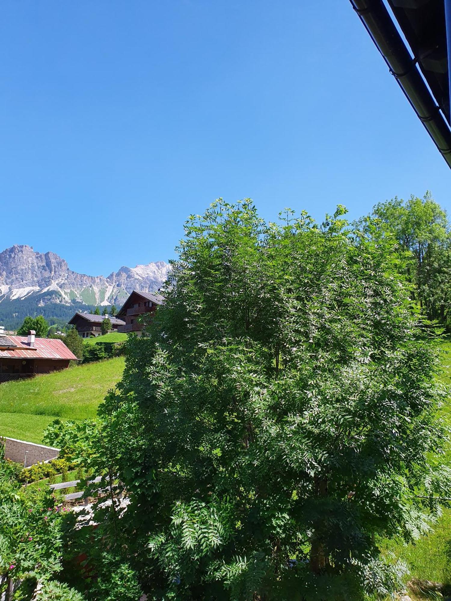 B&B Cristallo Cortina dʼAmpezzo Eksteriør bilde